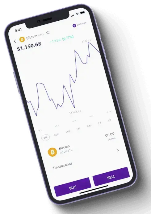 Wild Assetfort financial analysis